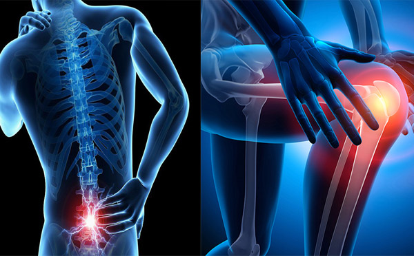 Đau lưng mỏi gối là dấu hiệu cảnh báo hệ thống xương khớp bị suy yếu và cấu trúc lỏng lẻo. 